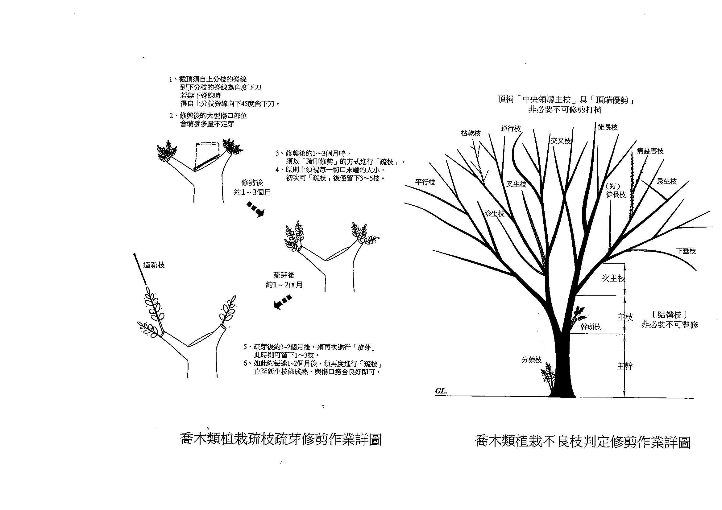 附錄十一 灌木類整姿修剪作業詳圖